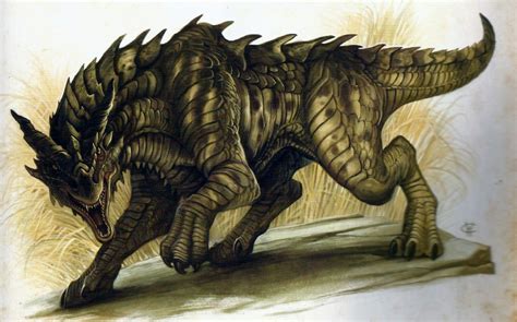 Common drake from dracopedia drawing book by William O'Connor | Fantasy ...