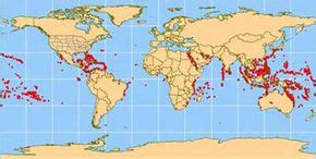 Coral Reef Conditions and Structure - Coral Reef Conditions | HowStuffWorks