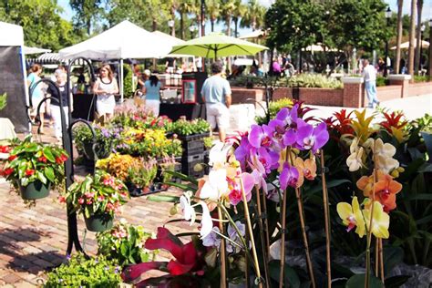 Winter Garden Farmer's Market | Today's Orlando