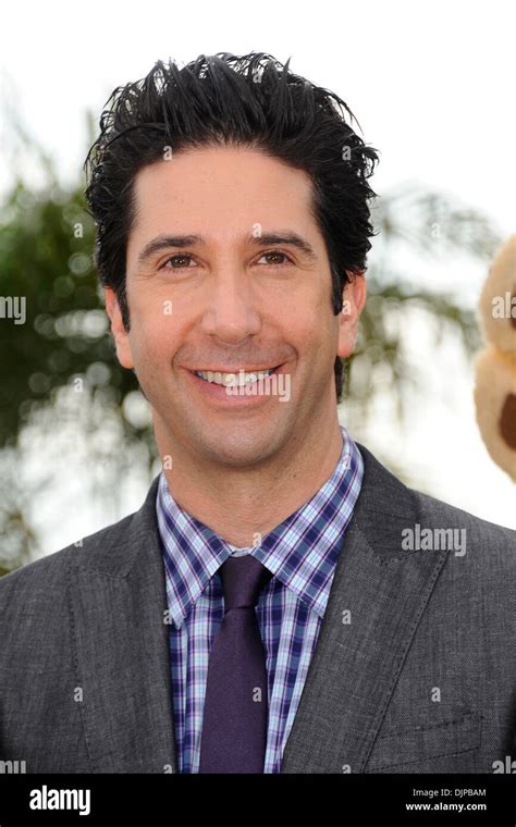 David Schwimmer 'Madagascar 3' photocall - during 65th Cannes Film ...