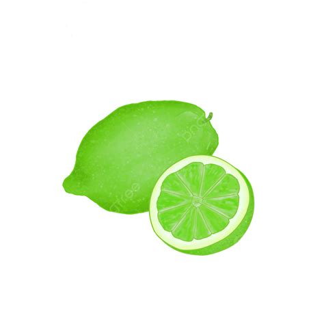 Lemon And Lime Clipart Transparent PNG Hd, Hand Drawn Cartoon Lime ...