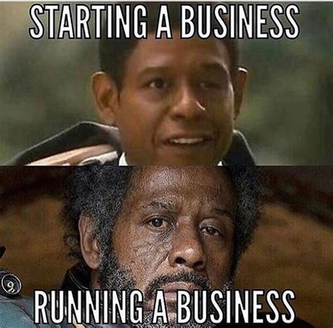 Start your business now...or not... | Business meme, Starting a ...