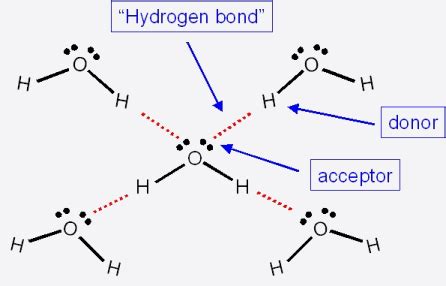 Why does NH3 have a lower boiling point than H2O? | Socratic