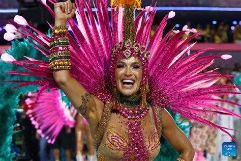 In pics: carnival parade in Rio de Janeiro, Brazil-Xinhua