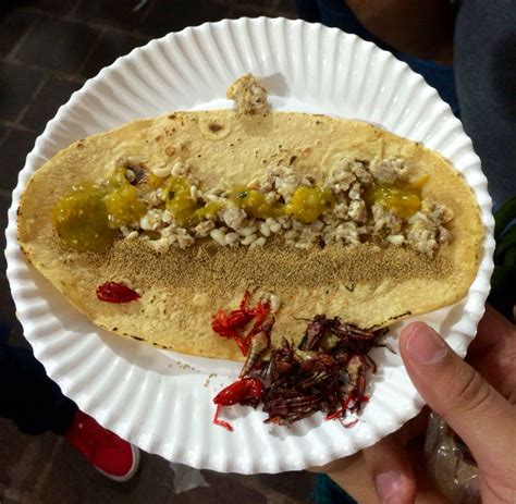 Taco de escamole con ahuautle (un poco de acocil y chapulines) - CDMX | Comida, Gastronomia ...