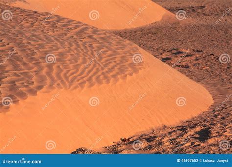 Tunisia. Somewhere on Sahara Desert Near Douz... Stock Photo - Image of horizon, freedom: 46197652