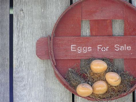 Old Chicken Coop Decor Photograph by Pamela Smith - Fine Art America