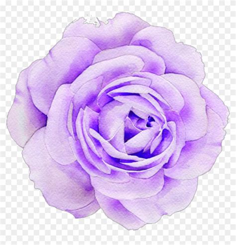 Purple Aesthetic Flower : Purple Floral Prints You Ll Enjoy Etsy - Personalize it with photos ...