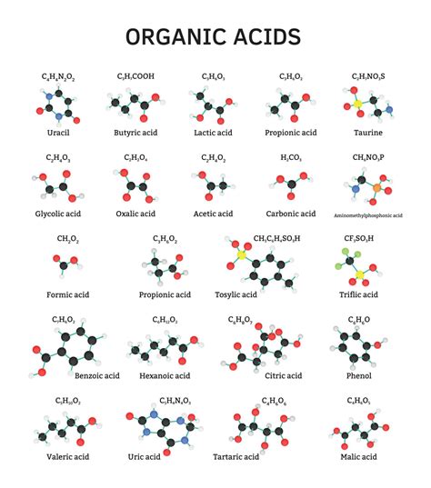 Organic Acids Testing for Mold-Injured Patients