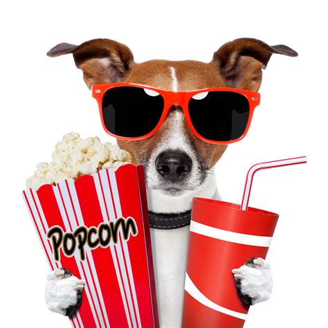 Free Movie Night Cliparts, Download Free Movie Night Cliparts png ...