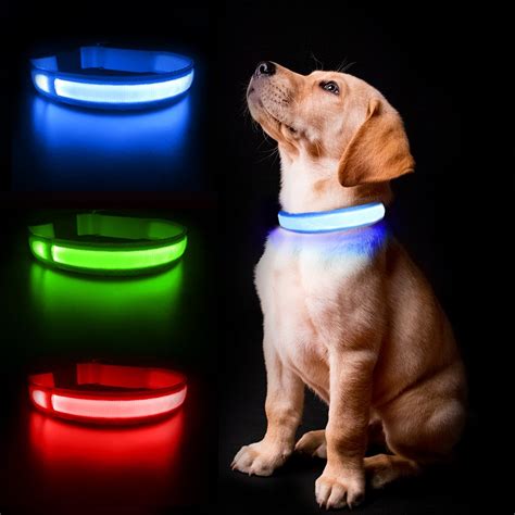 HALO LED DOG COLLAR — HALO BELT | LED Belt, LED dog Collar, LED safety ...