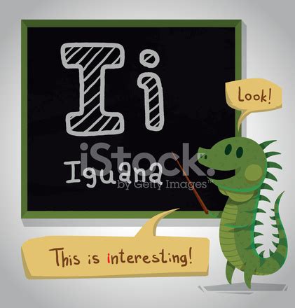 Alphabet Animals, Iguana Stock Photo | Royalty-Free | FreeImages