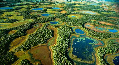 The wonderful world of the Pantanal - Family Trip Magazine