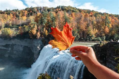 Vibrant Letchworth State Park Fall Foliage | Letchworth Fall Guide - Come Join My Journey