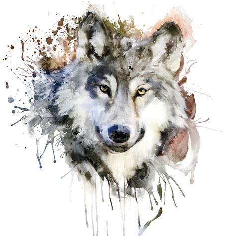 Watercolor Wolf