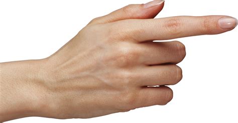 Hands PNG, hand image free