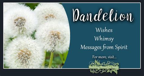 Dandelion Meaning & Symbolism | Flower Meanings