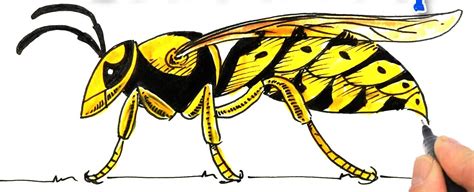 Wasp - Drawing Skill