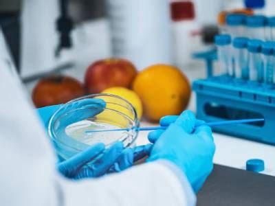 Food Testing Equipment | Labcompare.com