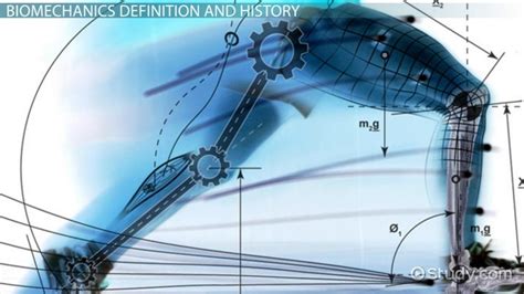 Engage Youth in Sport Science and biomechanics Research - Solar For Syria