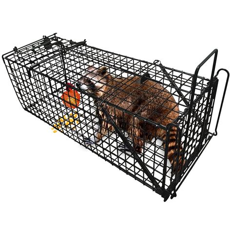 Professional Humane Live Animal Trap 28"X12"X12" Catch Release Cage for ...