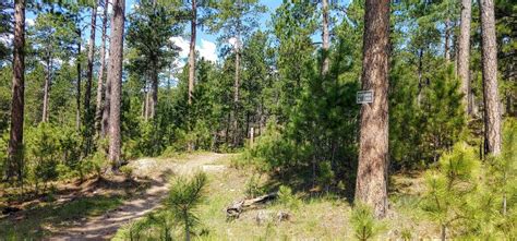 The Summer Challenge in Custer State Park — Black Hills Hiking, Biking ...