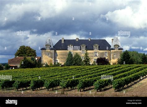 France French Cognac distillery distil brandy Stock Photo - Alamy