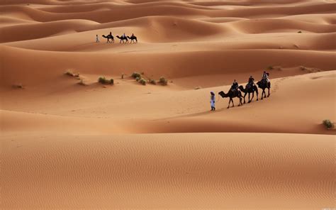 Desierto Sahara - Fondos de Pantalla HD - Wallpapers HD