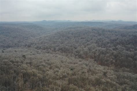 Golden Eagle Spring Migration and Winter Wrap Up - Bernheim Arboretum ...