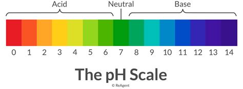 What is Neutralisation in Chemistry? | The Chemistry Blog