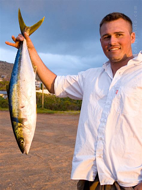 Yellowtail fishing and recreational permits | Cape Town Daily Photo