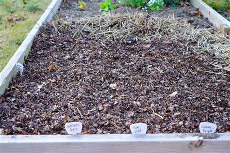 How To Make Leaf Mulch (And Its Amazing Benefits)