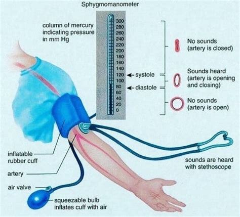 10 Steps to Accurate Manual Blood Pressure Measurement – Dentowesome