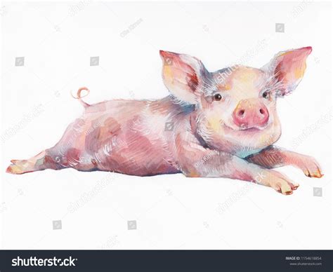 Watercolor Cute Piggy Isolated On White Stock Illustration 1154618854 ...