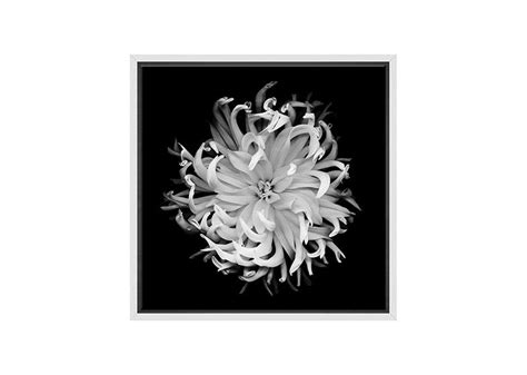 Elegant Black Canvas Wall Art Print featuring White Flowers – Final Touch Decor