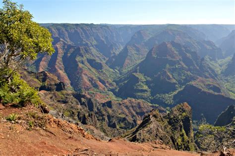 An Early Morning Hike In Waimea Canyon - The Wandering Weekenders