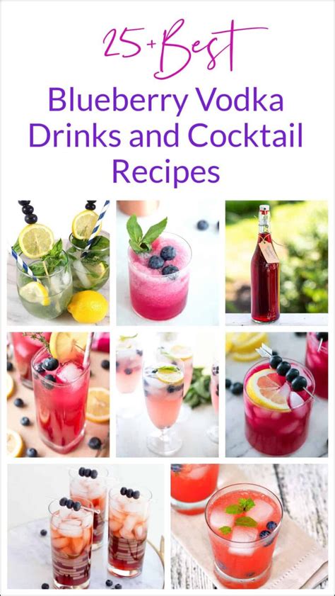 25+ Best Blueberry Vodka Drinks and Cocktail Recipes