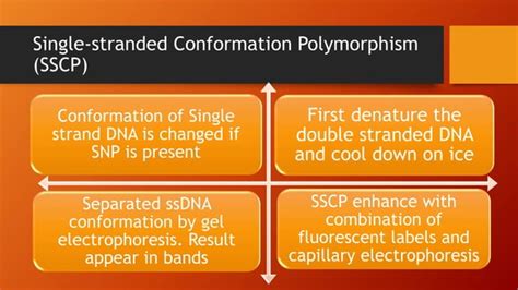 SNP Detection Methods and applications