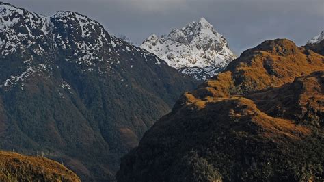 Cruise to Chilean Fjords | South America Cruises