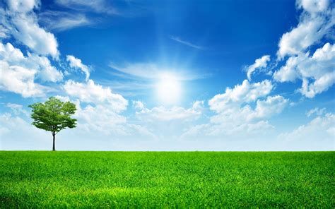 Sky and Grass Wallpapers - Top Free Sky and Grass Backgrounds ...