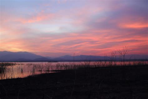 Sunset silhouette tree on the lake 10324868 Stock Photo at Vecteezy