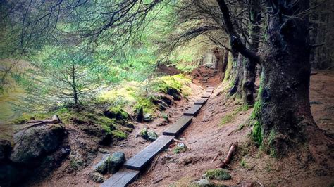 Ultimate Guide to hiking the Wicklow Mountains