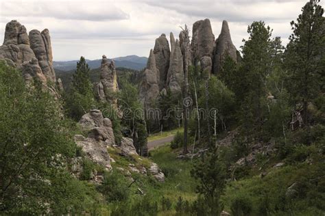 Needles Highway, Black Hills, South Dakota Stock Image - Image of green, formations: 194435059