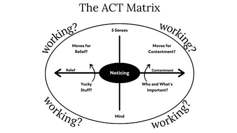 The ACT Matrix Academy