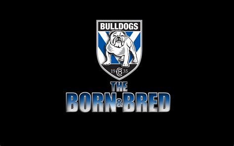 Canterbury-Bankstown Bulldogs HD, NRL, Logo, National Rugby League, HD ...