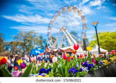 Floriade Australias Biggest Celebration Spring Canberra Stock Photo ...