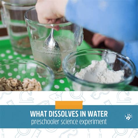 Learn What Dissolves in Water with a Preschool Science Experiment