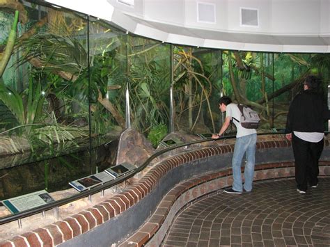 Taronga Zoo 2007 - Inside the Reptile House - ZooChat | Reptile house, Reptile zoo, Zoo architecture