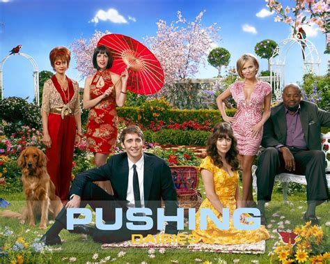 Pushing Daisies - Pushing Daisies Wallpaper (2960743) - Fanpop