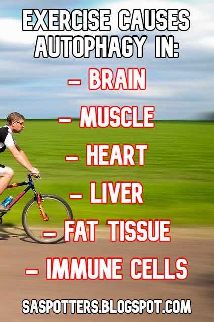 SA Spotters: Exercise for autophagy